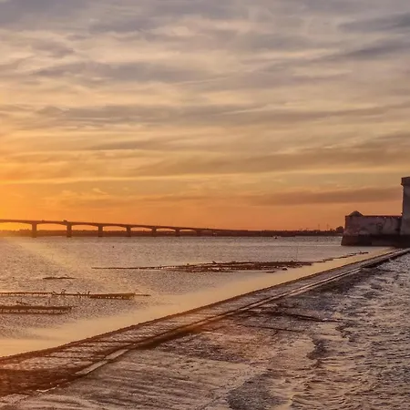 Semesterbostad Pet Friendly In With Wifi