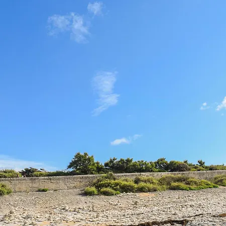 Pet Friendly In With Wifi Semesterbostad Royan