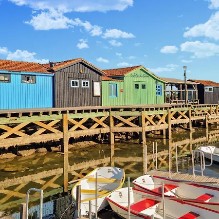 Pet Friendly In With Wifi