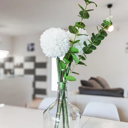 Pet Friendly In With Wifi Royan